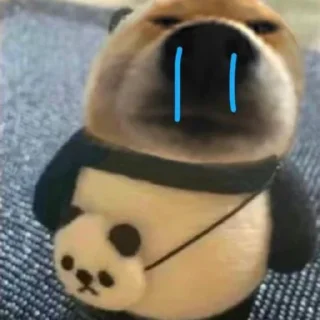 💰 emoji 飞机号 僵尸粉 苹果ID👉 @laogou98 Telegram sticker 23 of 57