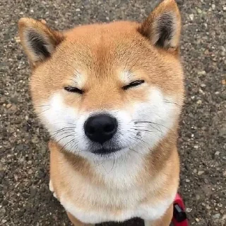 😎 emoji <PUBG皮肤号代付→ @xznb77> Telegram sticker 14 of 57