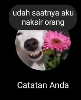 🌟 emoji punya atha Telegram sticker 21 of 31
