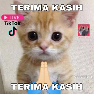 🙂 emoji AWOAKWOAK NYOLONG Telegram sticker 23 of 36