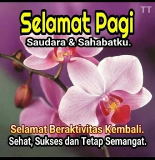 💋 emoji Sticker jamet kuproy Telegram sticker 5 of 19