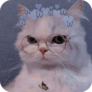 ❤ emoji Join 🔥 @Englishs_Chatting_Club Telegram sticker 5 of 80