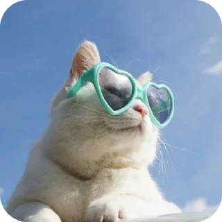 🥽 emoji Join 🔥 @Englishs_Chatting_Club Telegram sticker 8 of 80