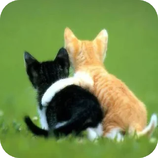👩‍❤‍💋‍👨 emoji Join 🔥 @Englishs_Chatting_Club Telegram sticker 9 of 80