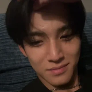 Sticker from MINGYU @iGUDANGSTIKER