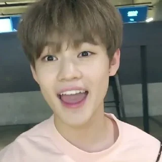 🐍 emoji chenle @stickernct Telegram sticker 21 of 35