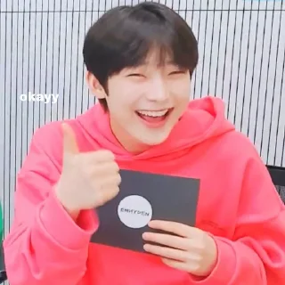 👍 emoji Enhypen Sunoo Memes Telegram sticker 7 of 68