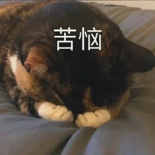 🙁 emoji 阿卡姆研究院 Telegram sticker 20 of 30