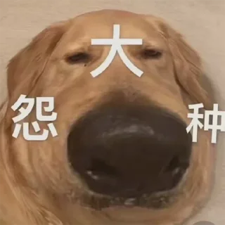 😞 emoji 阿卡姆研究院 Telegram sticker 16 of 30