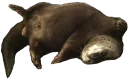 Sticker from Cute Otter