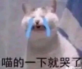 👀 emoji 小菜的沙雕图包5 @CrcEsy Telegram sticker 22 of 120