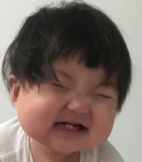 😂 emoji Pan Telegram sticker 18 of 120