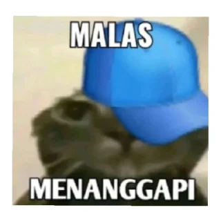 😄 emoji cok Telegram sticker 13 of 17