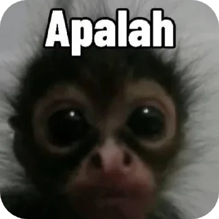 Sticker from ahihihi