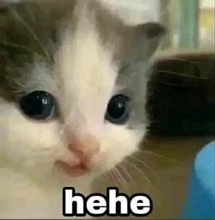 😂 emoji hehe Telegram sticker 3 of 8