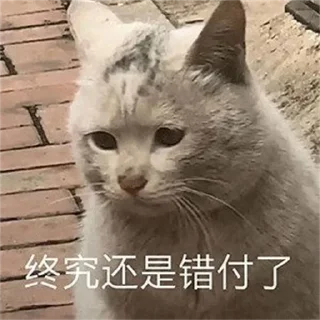 🤣 emoji 恭喜发财 @PYQDBQ Telegram sticker 12 of 108