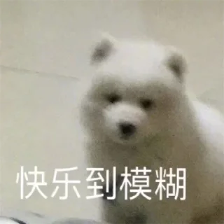🤣 emoji 恭喜发财 @PYQDBQ Telegram sticker 8 of 108
