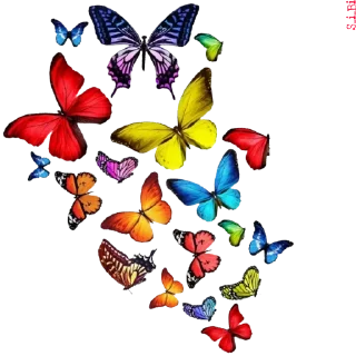 🦋 emoji [Ver. 2.0 @S_i_Bi ] Telegram sticker 10 of 86