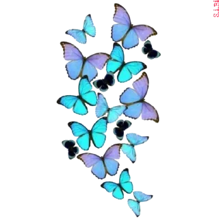 🦋 emoji [Ver. 2.0 @S_i_Bi ] Telegram sticker 12 of 86