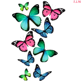 🦋 emoji [Ver. 2.0 @S_i_Bi ] Telegram sticker 5 of 86