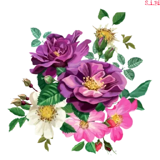 💐 emoji [Ver. 2.0 @S_i_Bi ] Telegram sticker 14 of 86