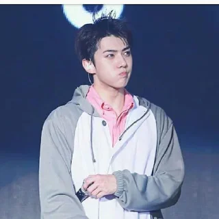 🐻 emoji Sehun cute @aesthaticgirll Telegram sticker 12 of 32