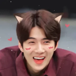 Sticker from Sehun cute @aesthaticgirll