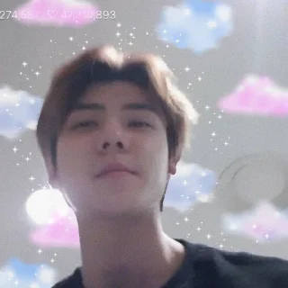 🐻 emoji Sehun cute @aesthaticgirll Telegram sticker 23 of 32