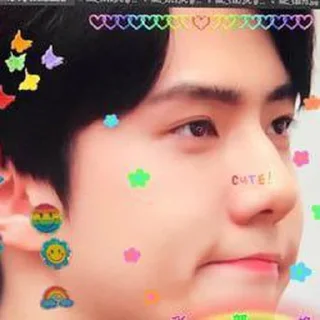 🐻 emoji Sehun cute @aesthaticgirll Telegram sticker 14 of 32