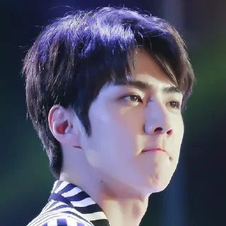 🐻 emoji Sehun cute @aesthaticgirll Telegram sticker 6 of 32