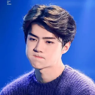 🐻 emoji Sehun cute @aesthaticgirll Telegram sticker 21 of 32