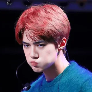 🐻 emoji Sehun cute @aesthaticgirll Telegram sticker 13 of 32