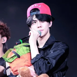 🐻 emoji Sehun cute @aesthaticgirll Telegram sticker 9 of 32