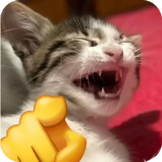 Sticker from Pussy*