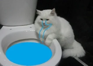 😭 emoji Pussy Telegram sticker 16 of 17
