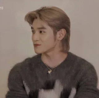 🚫 emoji LEE TAEYONG @nawtella Telegram sticker 10 of 25