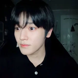 🐼 emoji LEE TAEYONG V.2 @leviosastory Telegram sticker 12 of 50