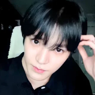 🐼 emoji LEE TAEYONG V.2 @leviosastory Telegram sticker 6 of 50