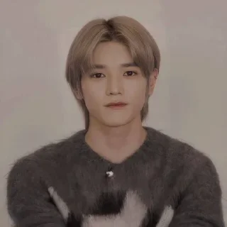 🚫 emoji LEE TAEYONG @nawtella Telegram sticker 11 of 25