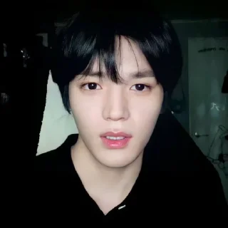 🐼 emoji LEE TAEYONG V.2 @leviosastory Telegram sticker 5 of 50