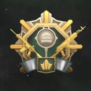 Sticker from PubG Ranking @Flash_OxyGen