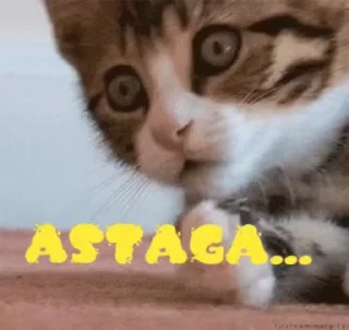 🤔 emoji Vol. 4 (video) @tatamarCo Telegram sticker 6 of 42