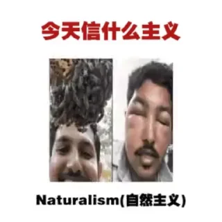 🍄 emoji 今天信什么主义 Telegram sticker 21 of 24