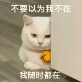 Sticker from 彩虹CDN服务器 @caihongyyds