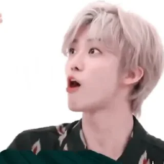 🍃 emoji Jaemin @stickernct Telegram sticker 5 of 30
