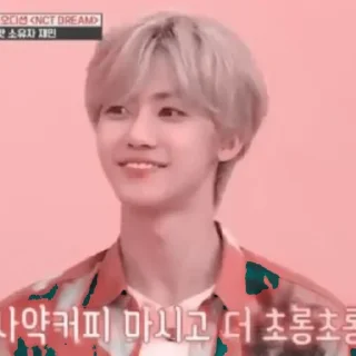 🍃 emoji Jaemin @stickernct Telegram sticker 19 of 30