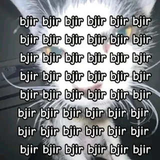 Sticker from sticker meme random