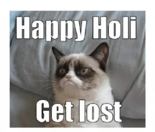 😑 emoji 😁Holi Pack 💜💛 @stickersbag 💖 Telegram sticker 22 of 37