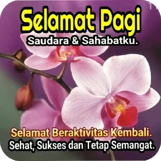 🖼 emoji Ekal. Telegram sticker 5 of 51