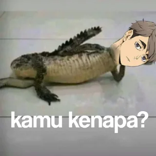 Sticker from samu buaya @osamumiya